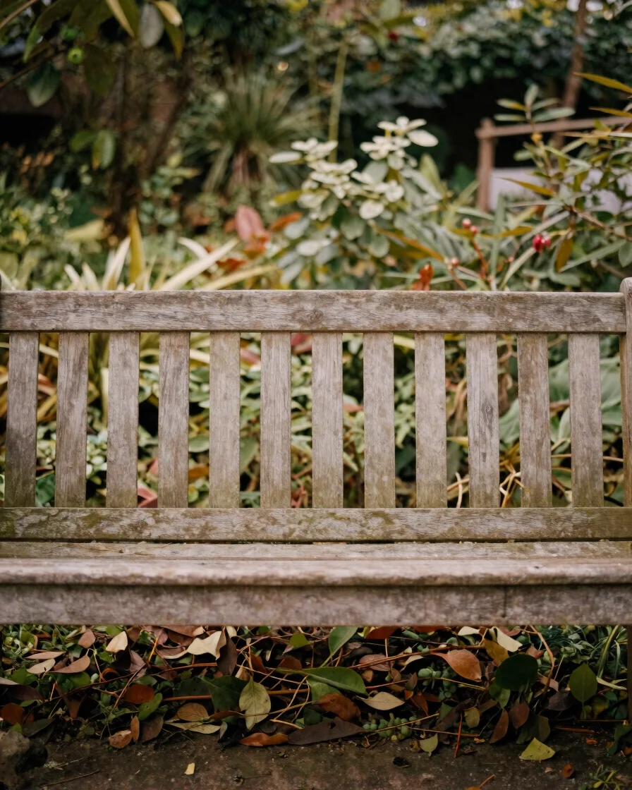 Close documentary detail of a quiet garden bench and leaves in so